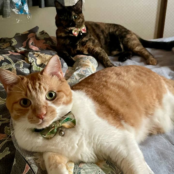 F73da29d a1e2 430e ae2b 5d449e571b7b 1757456799960