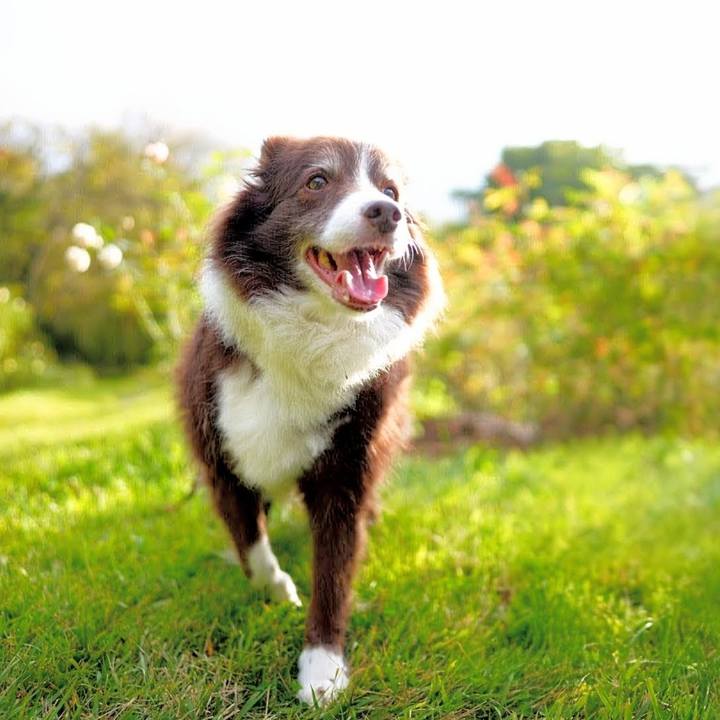 F73da3d8 3d69 4027 9312 526c0251b5f5 1760713601314