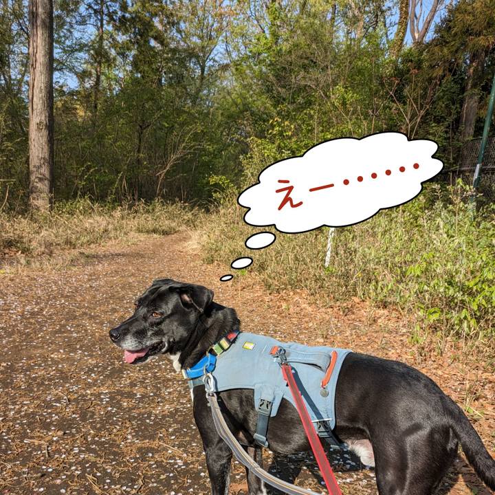 F73db11c c513 4d5c a673 ec8aa86f200e 1713052386366