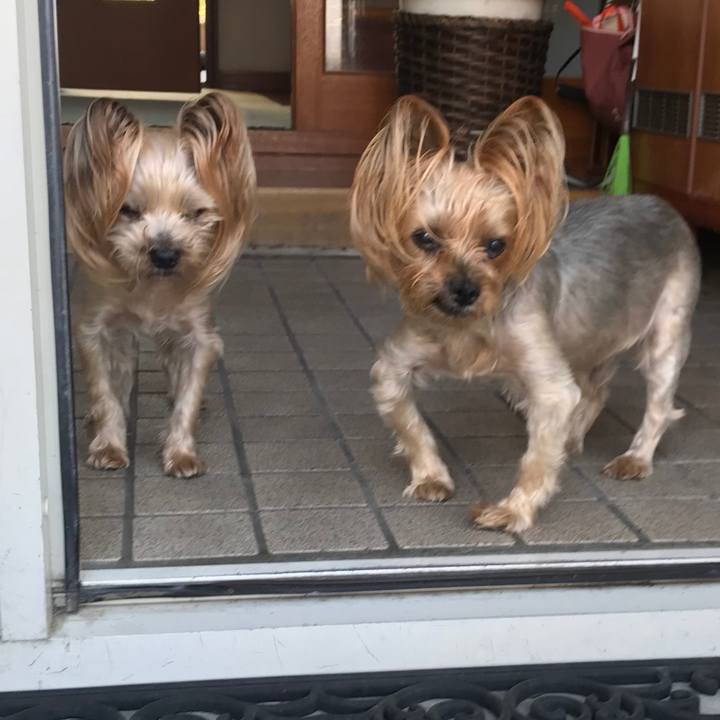 F73ddd57 9058 4231 8be1 43cd53f0a66d 1630747937928