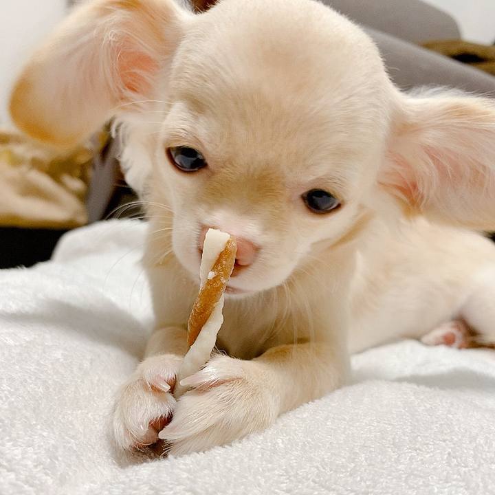 F73de209 b793 4da7 93a9 0f28f3d75134 1595741118138