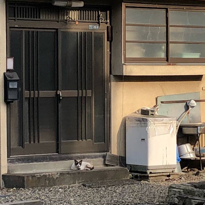 F73df1fb d0d8 4d09 a93d a5221058e167 1522056488901