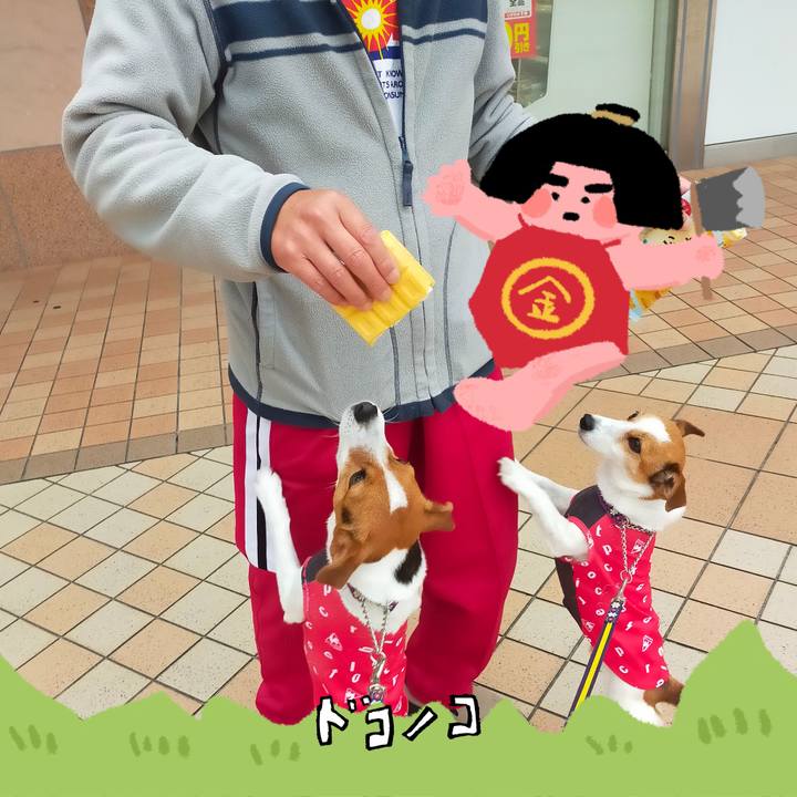 F73e38d0 1e71 496f 82f8 df0a30f76933 1779524791702