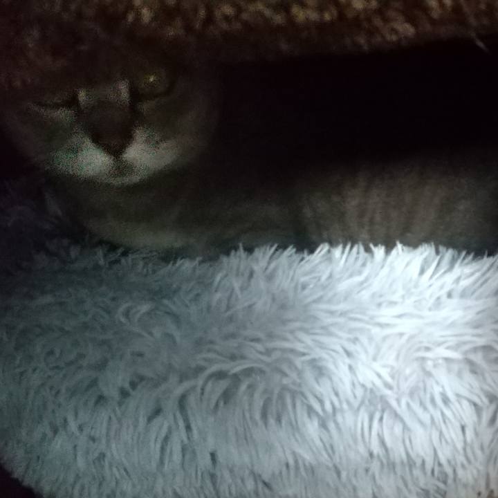 F73e419b 1c90 4aec a52b 5b969dc04d51 1652750788722