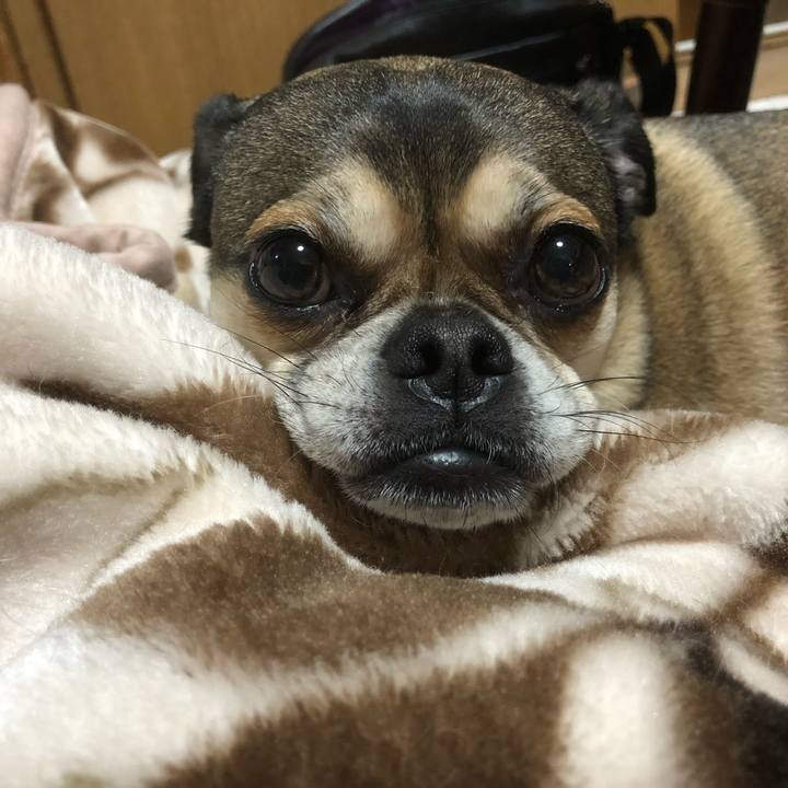 F73e5b87 1427 4010 bf19 c6cd85b61204 1521087815214