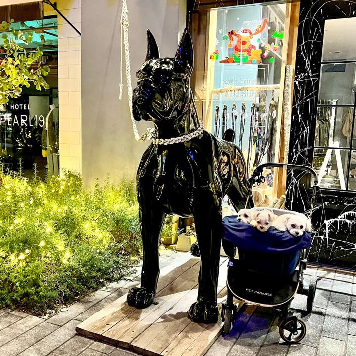 F73e60aa cb0f 4990 8245 3090181355ef 1669953707930