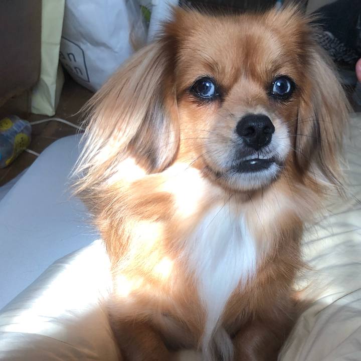 F73e7183 1465 45cf a753 ed552329e21f 1539389840943