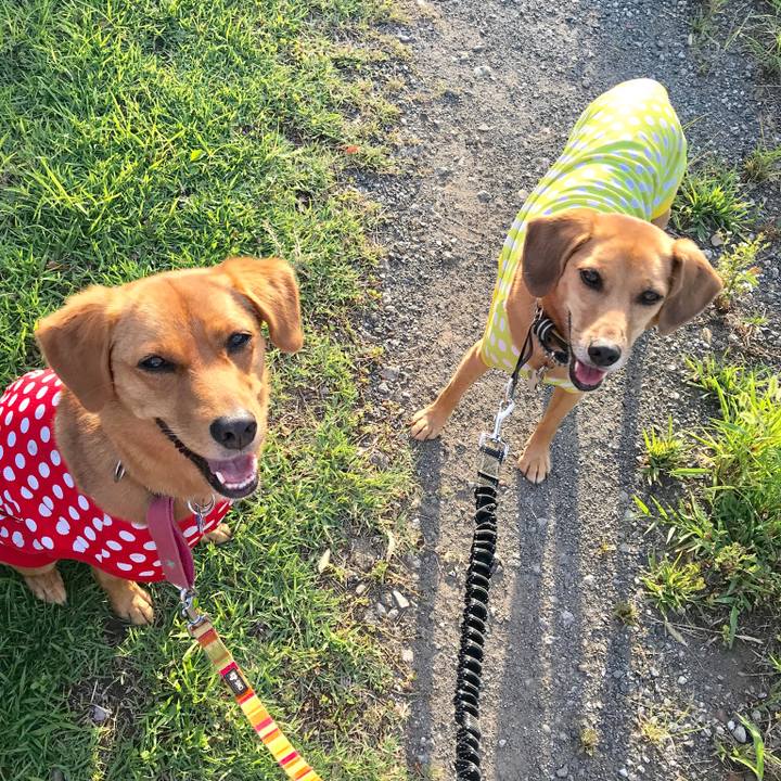 F73e8ca9 a58e 4489 9fb7 bc8b59c8b2de 1534729354495