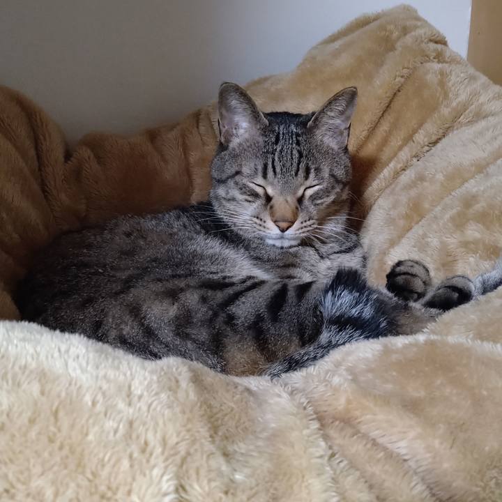 F73e9a6e 1d65 46d5 b7ef 444bdcccb772 1651385824746