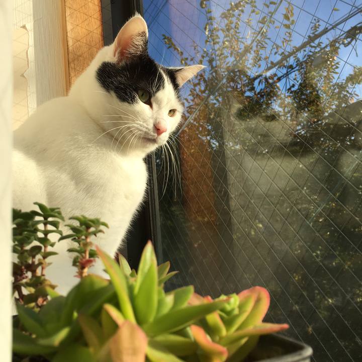 F73eab82 7750 41f7 919e 572628e37c61 1509577614697