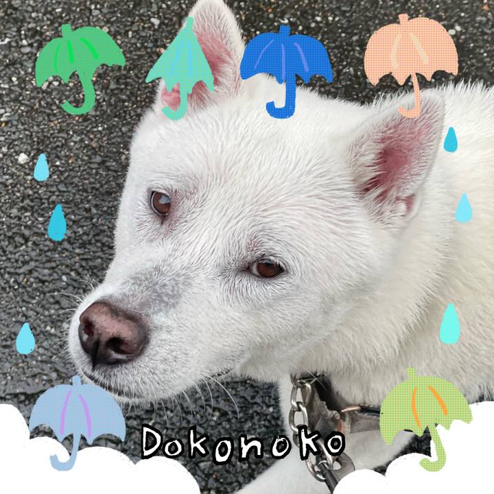 F73eda1b d328 4d8e 9ca4 c82c9efb491d 1717932677266