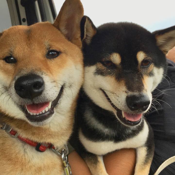 F73f157d a902 4dc1 9e3b c3eb6266c46e 1563702798204