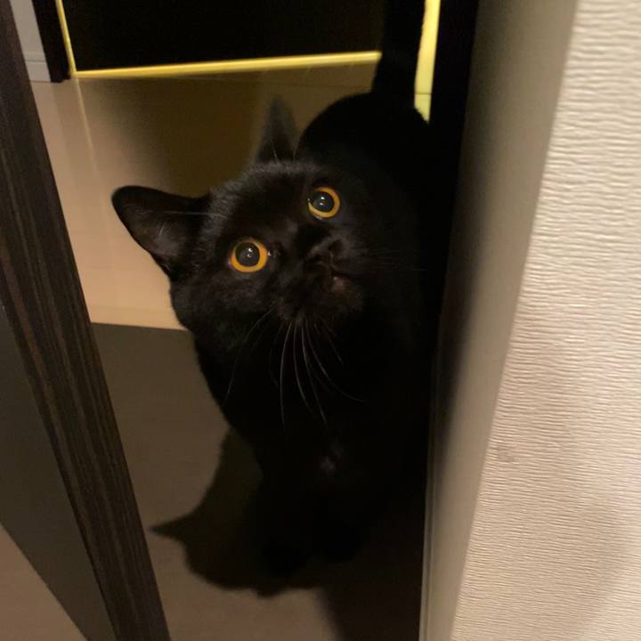 F73f1afc 5350 41ab 8fbd b9e1b9b8da58 1603709290189