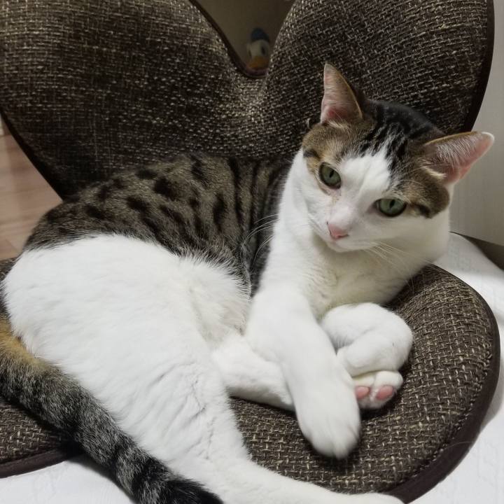 F73f3537 2cb6 441f a6bf 0c06cb327dc5 1553166660494