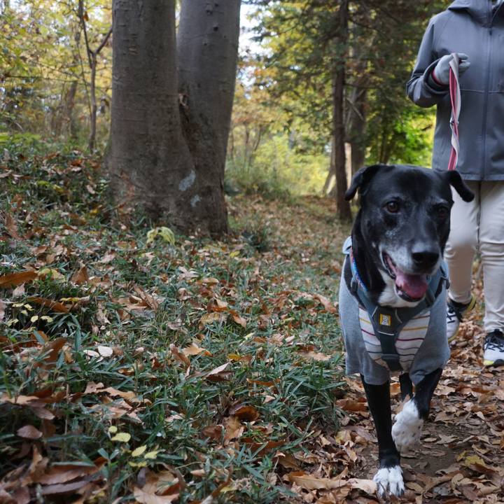 F73f4cfd c8a3 4208 8a97 f76c58da5801 1764376476307