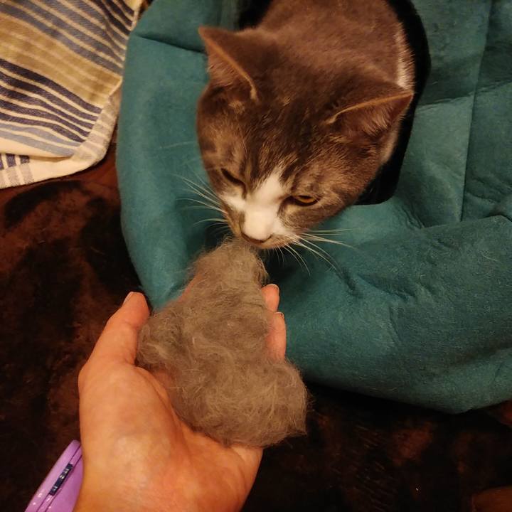 F73f8658 944e 4d92 99a4 844755385bb9 1581588389285