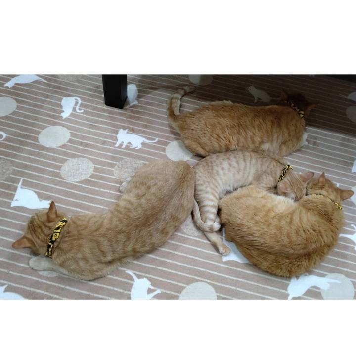 F73f895d 8162 4813 b227 f522eda9342a 1673856222761