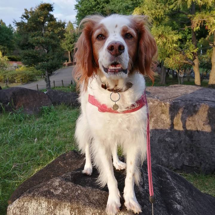 F73f8f48 36d1 4897 b028 5a223c4e7f79 1634643208558