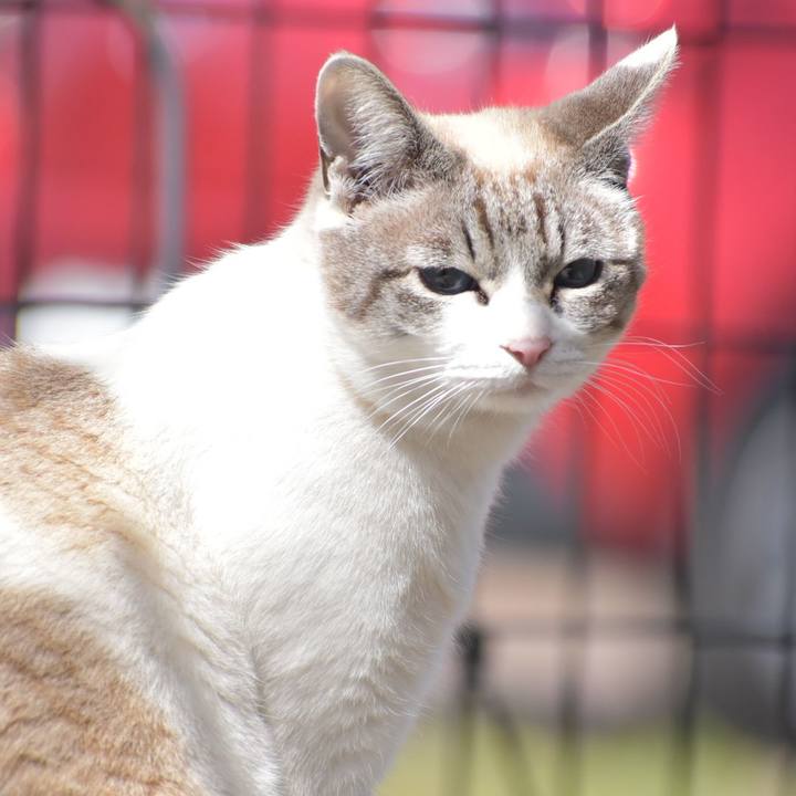 F73f93dd 25da 40de a85e 0530ee053ff3 1553394518274