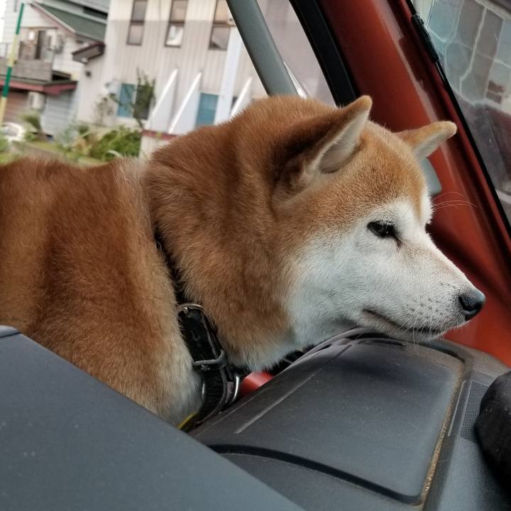 F73fae73 f816 4a23 a61c 088b38594163 1632736559419