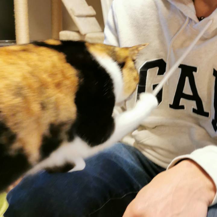 F73fbb95 fb07 49b3 bbfd d7be34974033 1645245455856