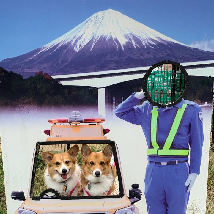 F73fcad8 3b57 4fcd aedb 7df71accc842 1571293040314