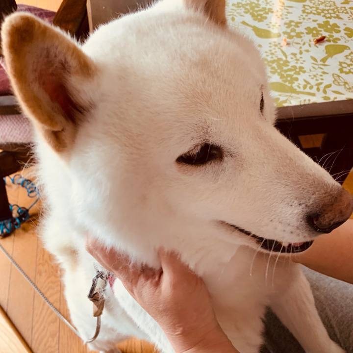 F740412b 62f2 4f18 bc72 f62f53e9f3d4 1583735831922