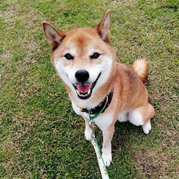 F740583f a612 4eb5 9615 fbf190f2d76d 1628323587580