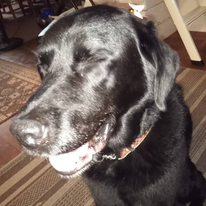 F7406c6d 24c6 4c1c 9022 bfd674d45735 1691807313385