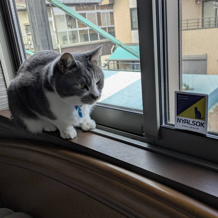 F740a17e d957 4137 932e 56dc90a4c4d0 1774664222127