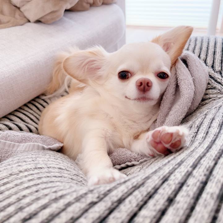 F740c93a 33e6 4bcb 83a0 c5ca8bbbcdfe 1693467408001