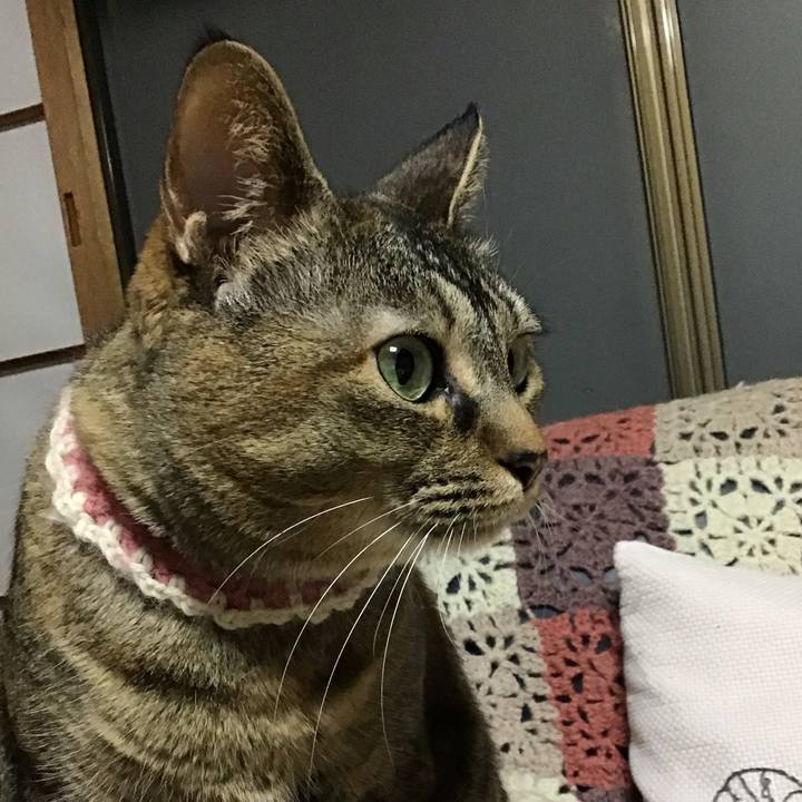 F740f895 c538 4610 866d 99bca4f8e37c 1712742547642