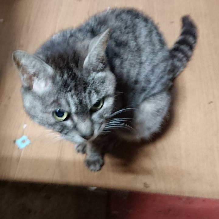 F7410273 d4ba 4958 a29f a80225825983 1556137402021