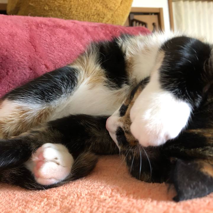 F7411cb0 cde1 448b 8203 2d5ea679612d 1574248020350