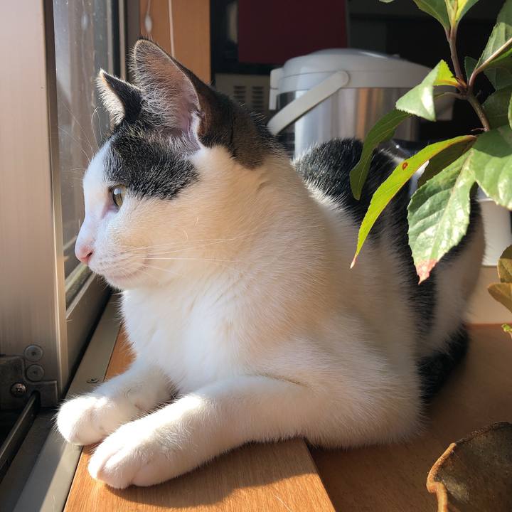 F7413532 e2bb 4f6d a2f5 4ddd920cd92d 1622240975666