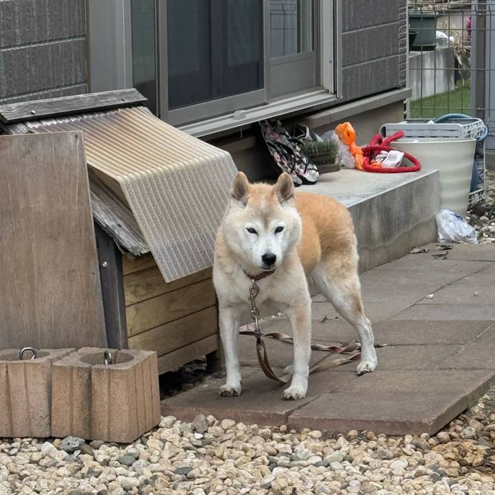 F7417b30 350d 4790 a26c d312acca1d7b 1763432618469