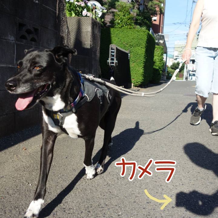 F7418098 706e 4a3b 9dad aabc0b1d59ba 1656287286161