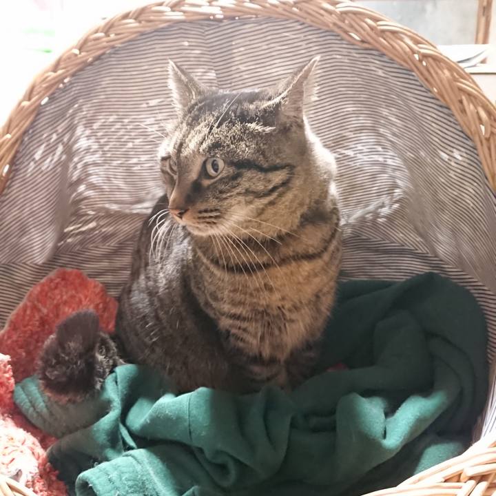 F7419592 a845 4571 bcf8 45345a714846 1641557397429