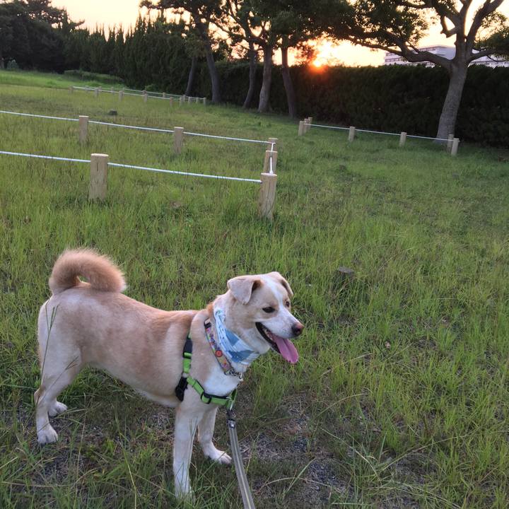 F74195be ddcd 4c2c abaa c82d408b750b 1533465286390