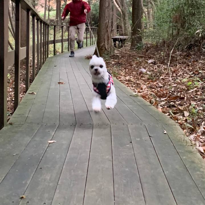 F741ae13 1adc 4996 b14d aa518f73842a 1574411699189