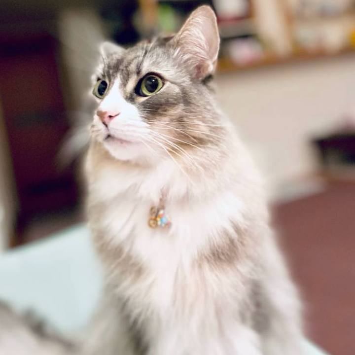 F741daa6 df6e 40c0 8aff de128d5fff99 1756221976151