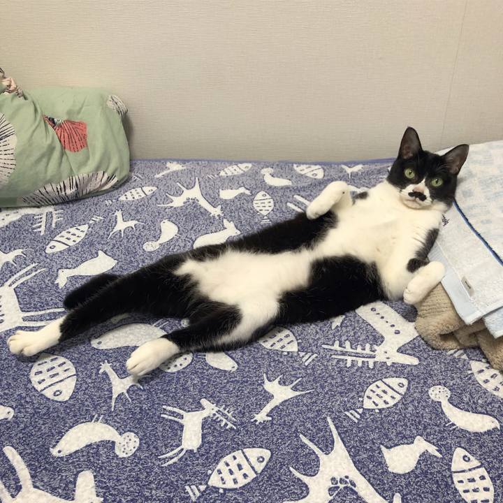 F741eada c8eb 4f5d bb13 0b03e4d38d28 1588862855033