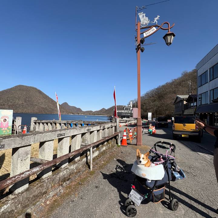 F741ebaa 2a96 4912 a627 175041774f0c 1775888109778