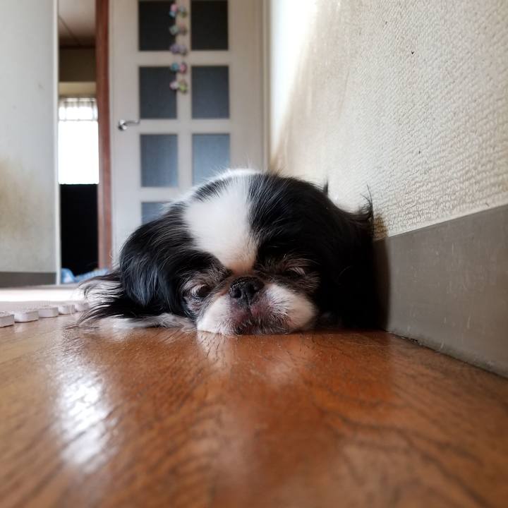 F7422be6 b707 4502 be9a 13b24d6bd489 1528540401458