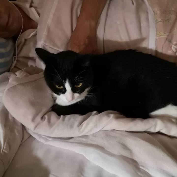 F7428cf7 1938 41b8 b051 2d7f1422517a 1634358643215