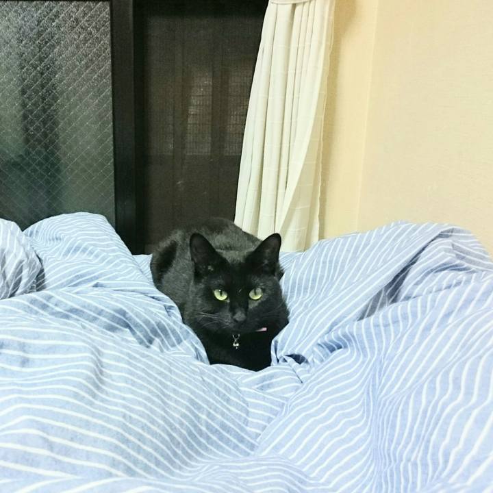 F742ba65 314c 4e40 8ace cf3bf6896677 1524496054894