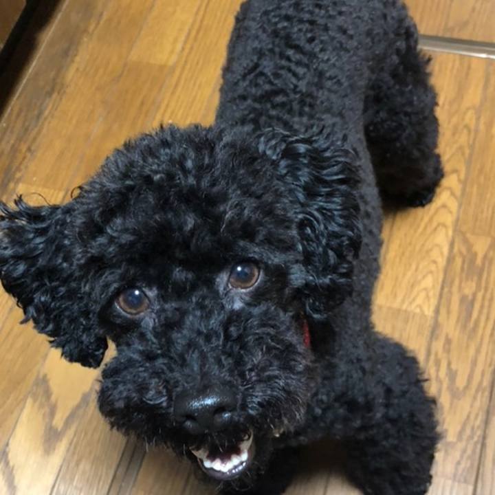 F742eff1 de8c 4d2b 8c89 3463e572d92e 1558530341598