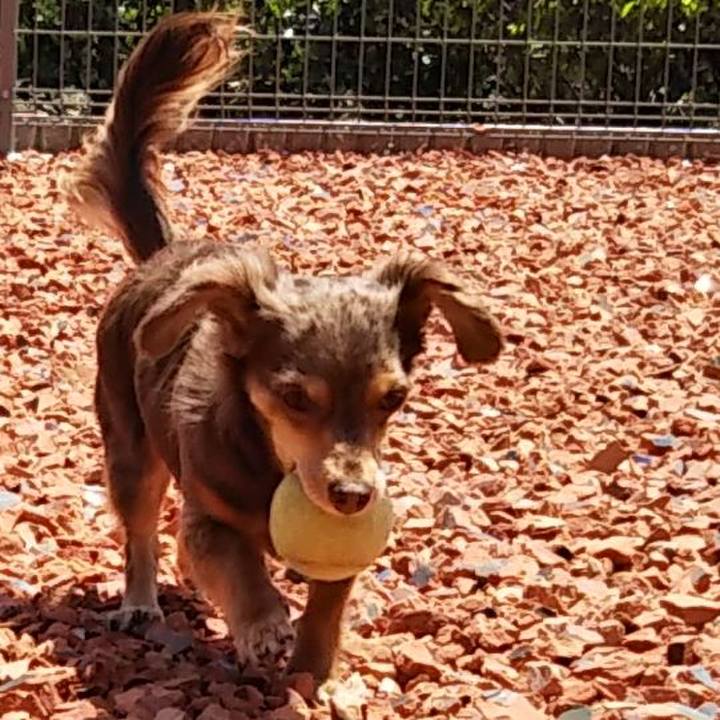 F7432e2f dddd 4c4c a8dd 72a64dcd1c24 1526171066926