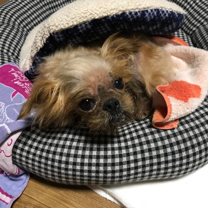 F7434db0 f783 4317 83dd 324866fac4e6 1538136188709