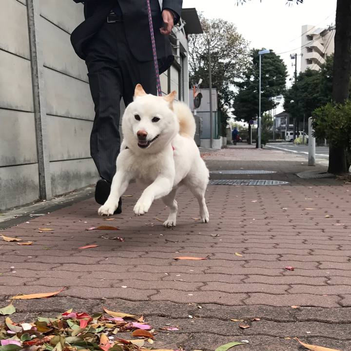 F7435c3c 3e54 445a a684 d02868742e36 1522367397038